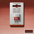 Tinta Aquarela Profissional Winsor & Newton Pastilha S1 317 Indian Red