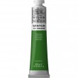 Tinta Óleo Winsor & Newton 637 Terre Verte 200ml Winton