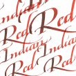Tinta Para Caligrafia Winsor & Newton Indian Red