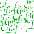 Tinta Para Caligrafia Winsor & Newton Green Leaf
