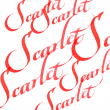 Tinta Para Caligrafia Winsor & Newton Vermelho Escarlate