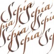 Tinta Para Caligrafia Winsor & Newton Sepia
