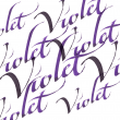 Tinta Para Caligrafia Winsor & Newton Violet