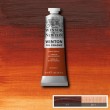 Tinta Óleo Winton 37ml Winsor & Newton 074 Burnt Sienna