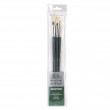 Kit De Pincéis Winsor & Newton Winton Acrilico/Óleo 03 Unidades