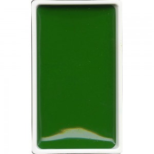 Aquarela Kuretake Gansai Tambi 052 Hooker's Green