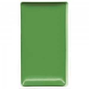 Aquarela Kuretake Gansai Tambi 505 Ivy Green