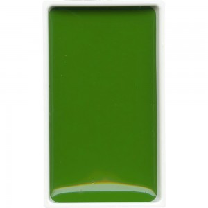 Aquarela Kuretake Gansai Tambi 053 Sap Green