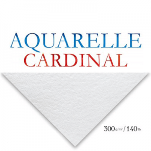 Papel Para Aquarela Cardinal Branco 50x65cm 300g/m²