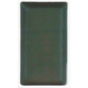 Aquarela Kuretake Gansai Tambi 250 Graphite Green